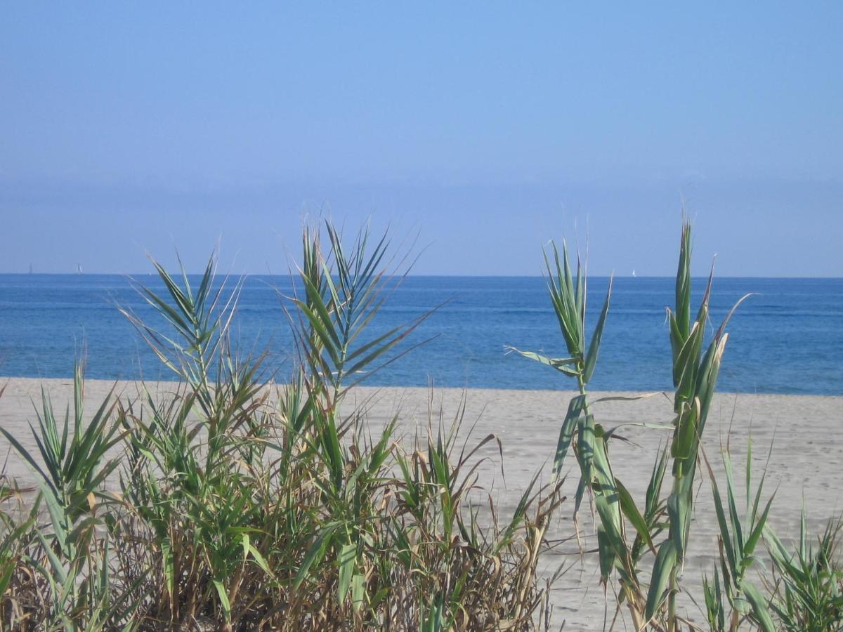 Studio vue sur la mer au 6ème et dernier étage Canet-en-Roussillon Esterno foto